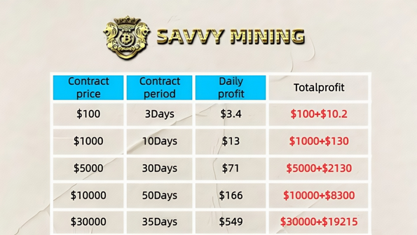 https://press24.net/images/savvy2.png